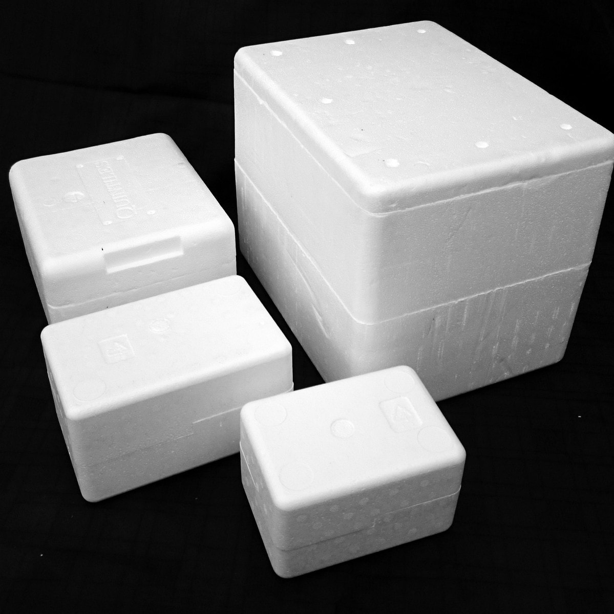 Insulated polystyrene boxes used for safe fish delivery